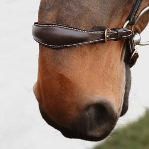 Lage ketting neusriem voor paard Dy'on image-1