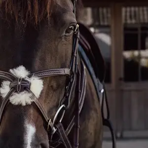 Muserolles trançadas para cavalo em forma de 8 Dy'on image-1