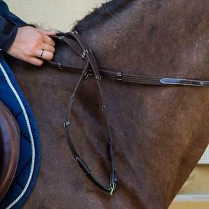 Riendas de cuero para caballo con paradas Dy'on 5/8" image-1