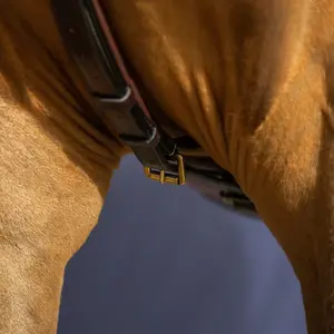 Martingale for horse Dy'on Yoke image-1