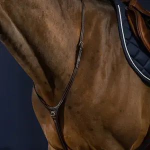 Martingale for horse Dy'on Yoke image-2