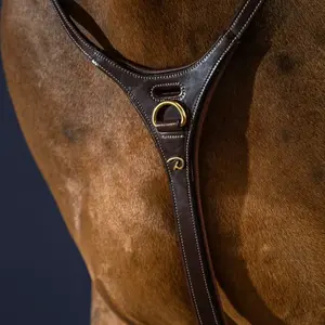 Martingale for horse Dy'on Yoke image-3