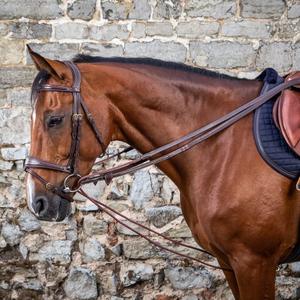 Riendas de cuero para caballos Dy'on 5/8" image-1