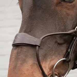 Hybrid horse bridle Dy'on Coll image-1