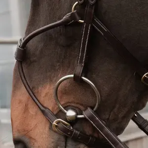 Hybrid horse bridle Dy'on Coll image-2