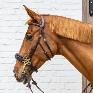 Hackamore bridle for horse Dy'on image-1