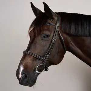 Braided noseband riding bridle Dy'on New English image-1