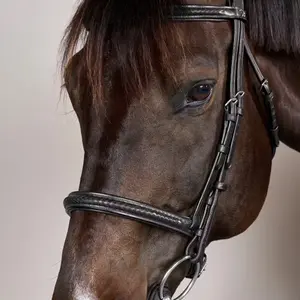 Braided noseband riding bridle Dy'on New English image-2