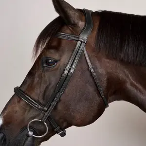 Braided noseband riding bridle Dy'on New English image-3