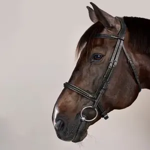 Braided noseband riding bridle Dy'on New English image-4