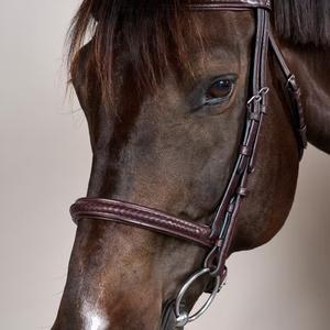 Ridehestetrense med flettet næsebånd Dy'on New English image-1