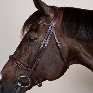 Ridehestetrense med flettet næsebånd Dy'on New English image-2