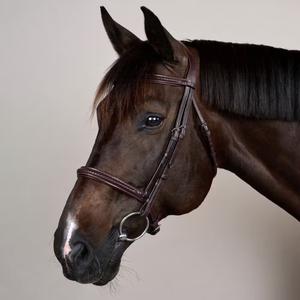 Ridehestetrense med flettet næsebånd Dy'on New English image-3