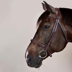 Ridehestetrense med flettet næsebånd Dy'on New English image-4