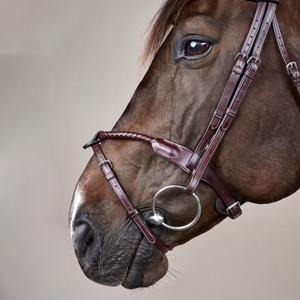 Kombineret trense med snude i flettet design Dy'on New English image-3