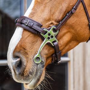 Hackamore til hest Dy'on New English Collection image-2