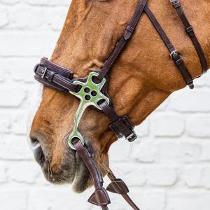 Hackamore til hest Dy'on New English Collection image-4