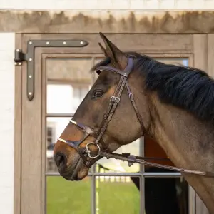 Double Cord Horse Noseband Dy'on image-1