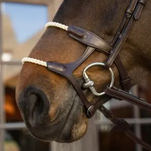 Double Cord Horse Noseband Dy'on image-2