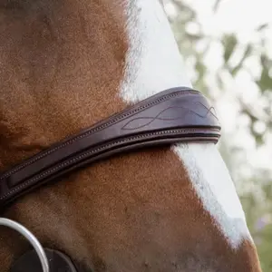 Anatomisk næseremme uden underlæbe til hest Dy'on image-1