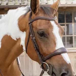 Anatomisk næseremme uden underlæbe til hest Dy'on image-2