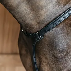 Collier de chasse pour cheval Dy'on NE image-1