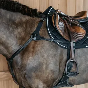 Collier de chasse pour cheval Dy'on NE image-2