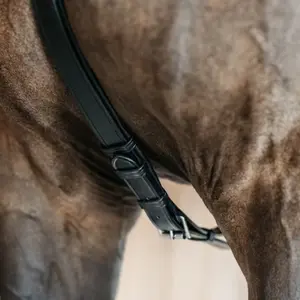 Collier de chasse pour cheval Dy'on NE image-3