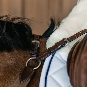 Collier de chasse pour cheval Dy'on NE image-2