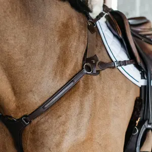 Collier de chasse pour cheval Dy'on NE image-3