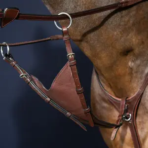 Martingale for horse Dy'on New English Collection image-1