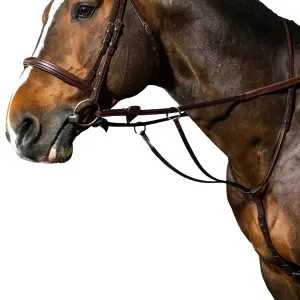 Martingala con anillas Dy'on New English Collection image-0