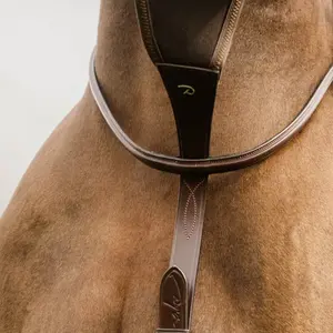 Martingale for elastic horses Dy'on NE coll image-1