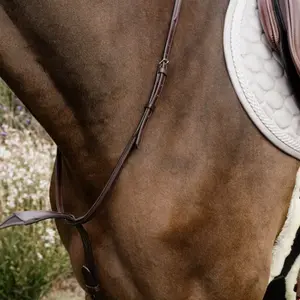 Martingale for elastic horses Dy'on NE coll image-2