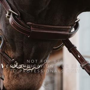 Accesorio de muserola para caballo de cuero Dy'on NE coll 5/8" image-1