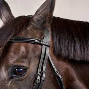 Cabezada combinada con muserola Dy'on Flash New English Collection image-1