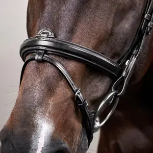 Cabezada combinada con muserola Dy'on Flash New English Collection image-2