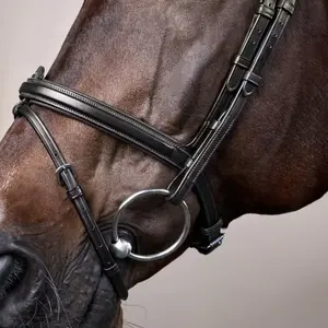 Cabezada combinada con muserola Dy'on Flash New English Collection image-3