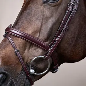 Cabezada combinada con muserola Dy'on Flash New English Collection image-2