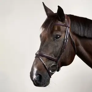 Cabezada combinada con muserola Dy'on Flash New English Collection image-1