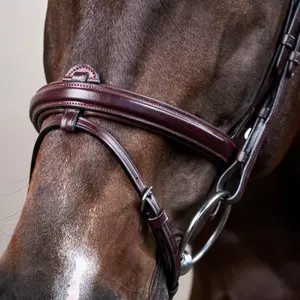 Cabezada combinada con muserola Dy'on Flash New English Collection image-4