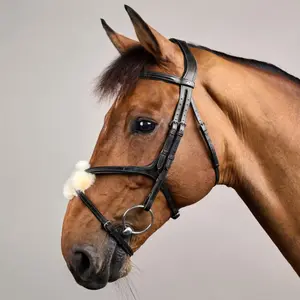 Cabezada con muserola cruzada Dy'on New English Collection image-1