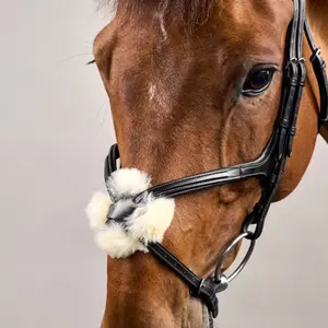 Cabezada con muserola cruzada Dy'on New English Collection image-3