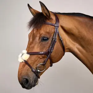 Cabezada con muserola cruzada Dy'on New English Collection image-1