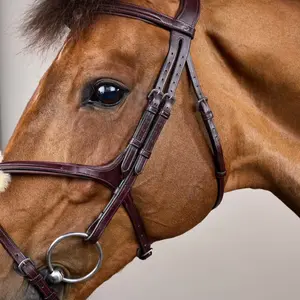 Cabezada con muserola cruzada Dy'on New English Collection image-2