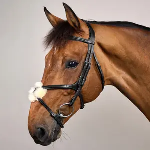 Bridles for horses Dy'on New English Collection image-2