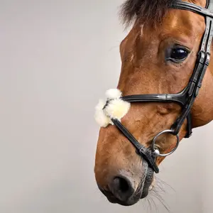 Bridles for horses Dy'on New English Collection image-4