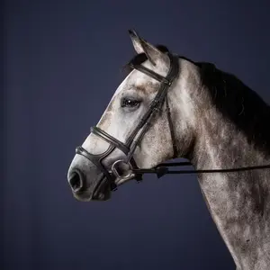 Combined riding bridle and noseband Dy'on New English Collection image-1