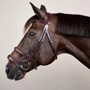 Cabezada combinada con muserola Dy'on New English Collection image-1