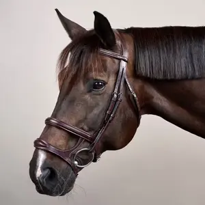 Cabezada combinada con muserola Dy'on New English Collection image-2